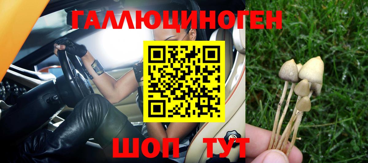 Псилоцибиновые грибы MAGIC MUSHROOMS  Вход с VPN  Бузулук 